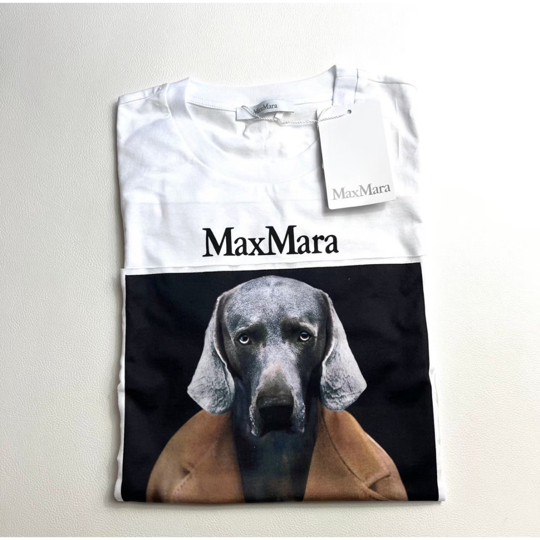 MAX MARA CIPRIA コットンジャージー Tシャツ M MAX MARA CIPRIA コットンジャージー Tシャツ M