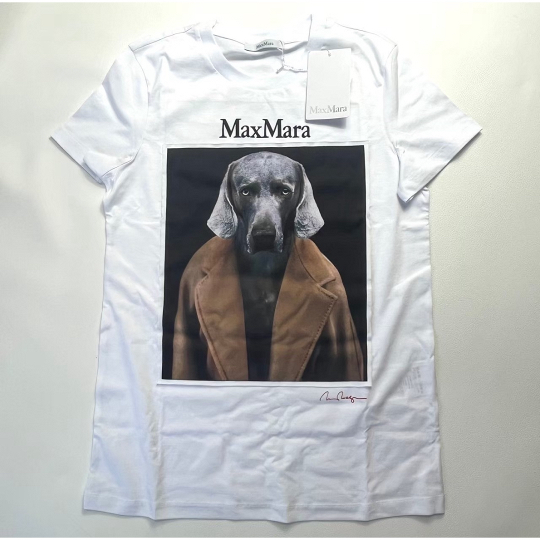 MAX MARA CIPRIA コットンジャージー Tシャツ M MAX MARA CIPRIA コットンジャージー Tシャツ M