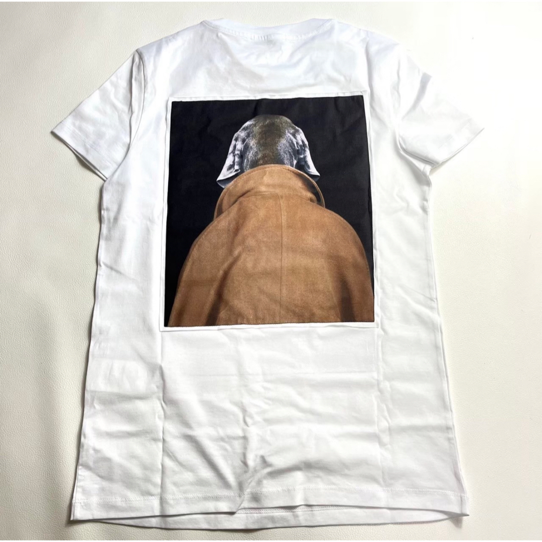 MAX MARA CIPRIA コットンジャージー Tシャツ M MAX MARA CIPRIA コットンジャージー Tシャツ M