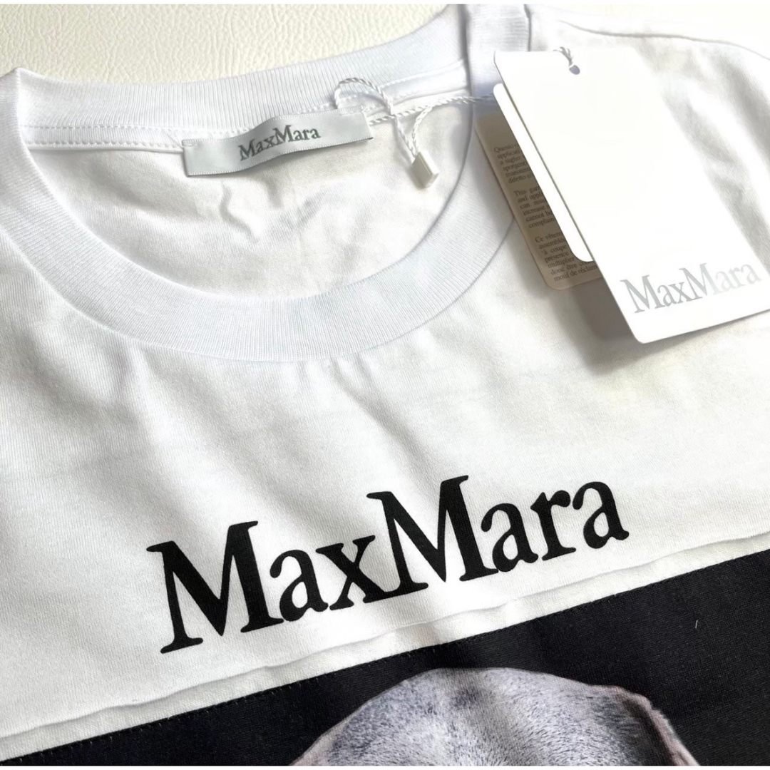 MAX MARA CIPRIA コットンジャージー Tシャツ M MAX MARA CIPRIA コットンジャージー Tシャツ M