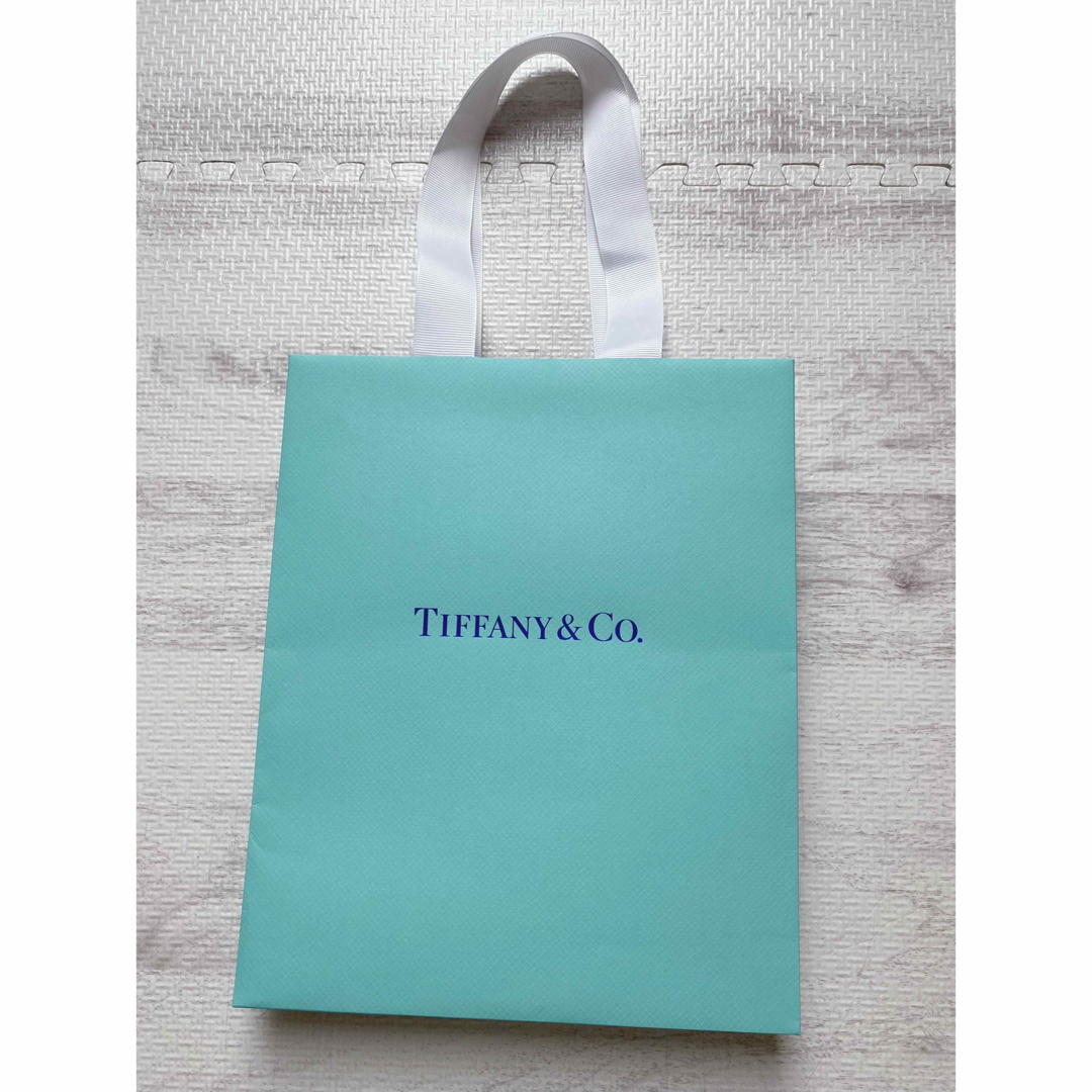 Tiffany & Co. - 《限定品》ティファニー 紙袋 ショッパー 銀座 Tiffany & Co. - 《限定品》ティファニー 紙袋 ショッパー 銀座