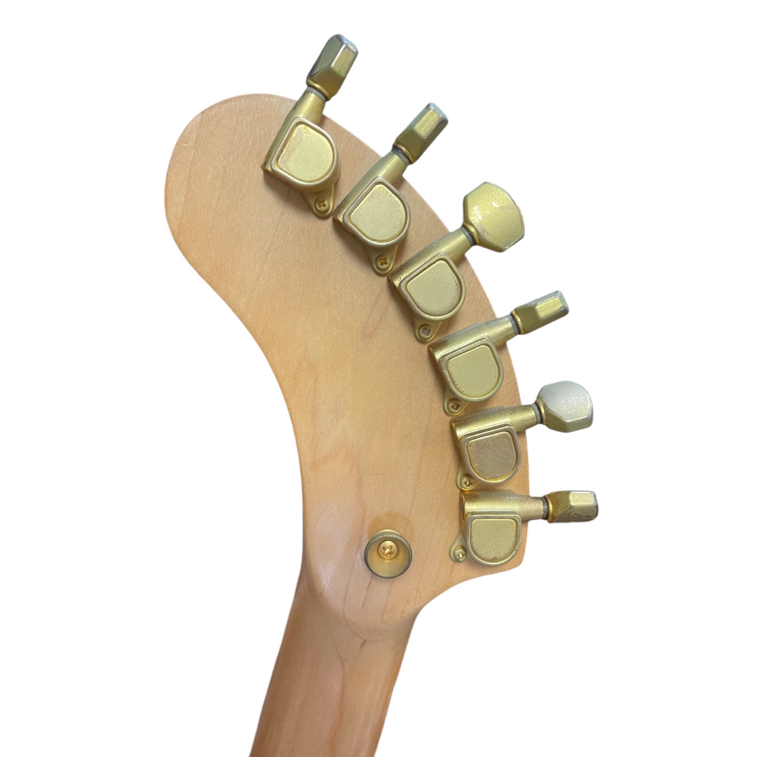 zo-3T 芸達者 専用ソフトケース アーム付 FERNANDES zo-3T 芸達者 専用ソフトケース アーム付 FERNANDES