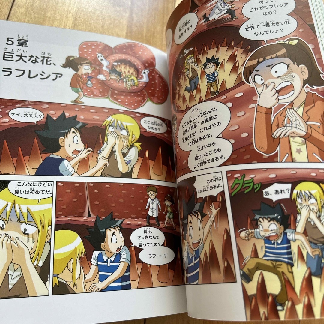 朝日新聞出版 - 植物世界のサバイバルの通販 by もこちゃん's 朝日新聞出版 - 植物世界のサバイバルの通販 by もこちゃん's
