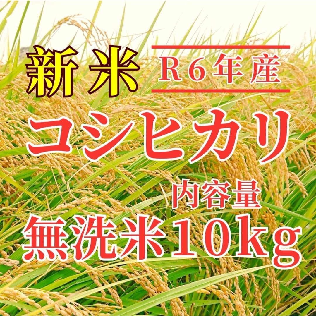 R6 玄米コシヒカリ 30kg 茨城県産(風のひかり | お米通販サイト R6 玄米コシヒカリ 30kg 茨城県産(風のひかり | お米通販サイト