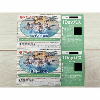 サマーランド　株主優待　東京都競馬(その他)