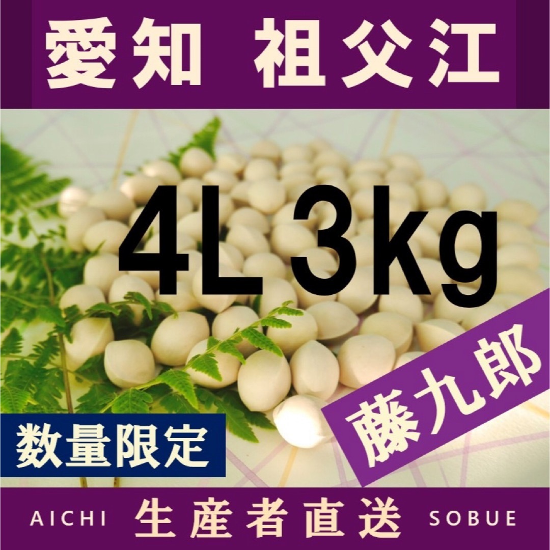 もも様専用 2024年新物!! 藤九郎銀杏 祖父江産 4L 3kg もも様専用 2024年新物!! 藤九郎銀杏 祖父江産 4L 3kg
