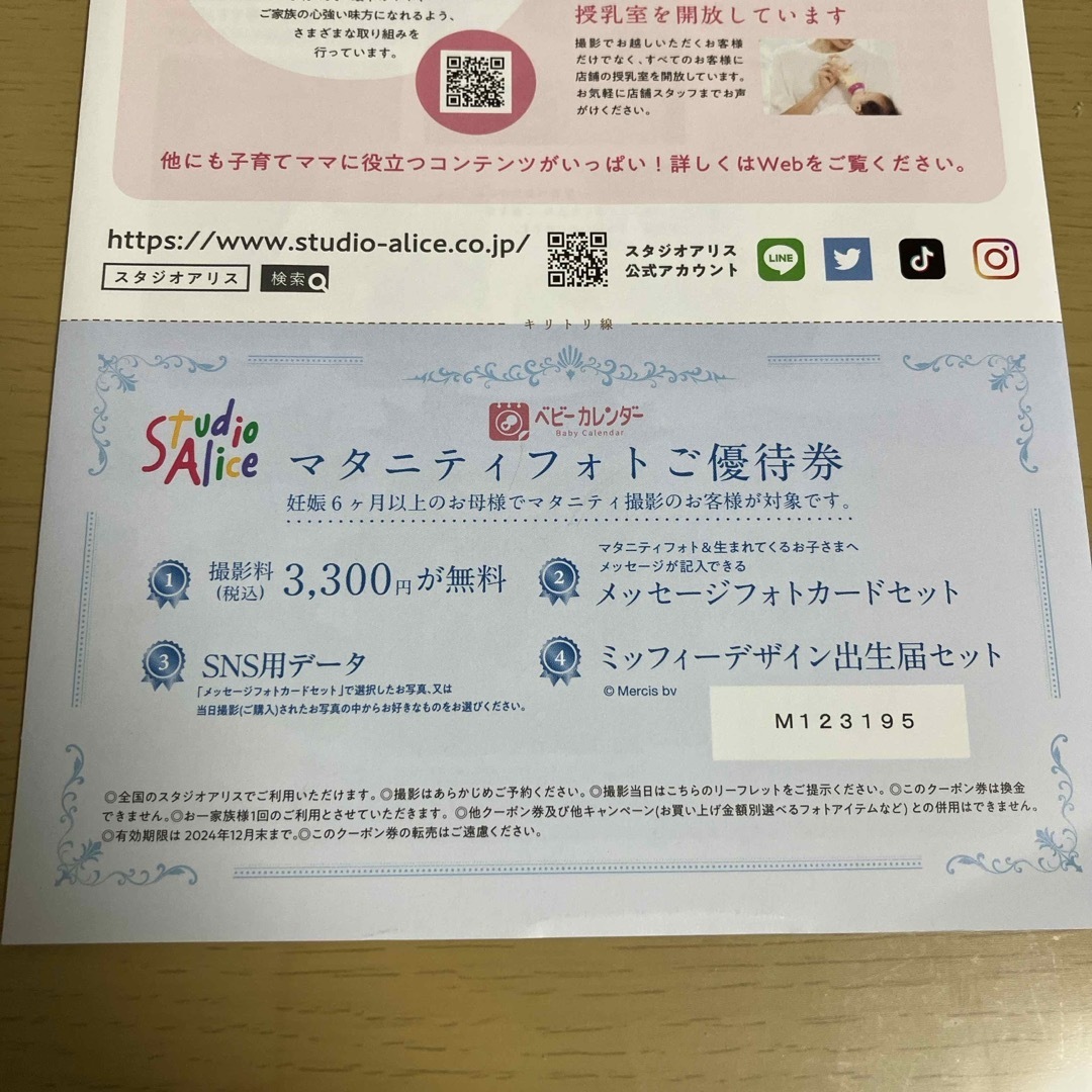 スタジオアリス マタニティフォト優待券 チケットの優待券/割引券(その他)の商品写真