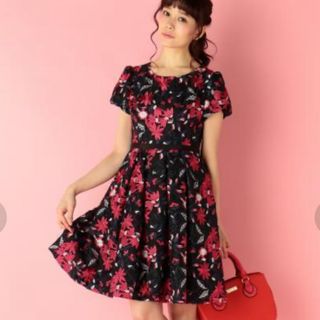 DOLLY GIRL BY ANNA SUI(ひざ丈ワンピース)のフリマアイテム一覧 DOLLY GIRL BY ANNA SUI(ひざ丈ワンピース)のフリマアイテム一覧