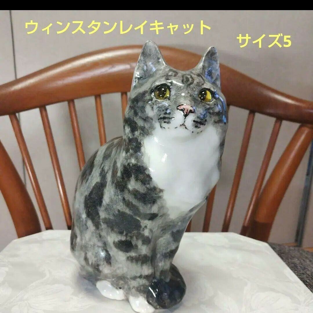ウィンスタンレイキャット（ケンジントンキャット）サイズ5