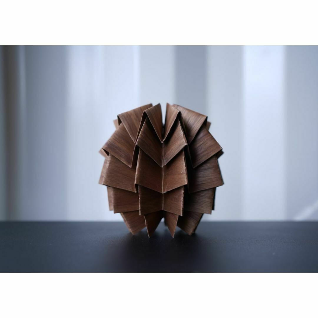 solol wood walnut ソルオル solol wood walnut ソルオル