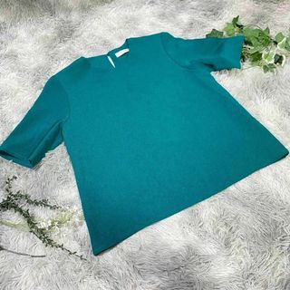 アベイル(Avail)の【Avial】アヴィアル　ブラウス　カットソー　(L)(カットソー(半袖/袖なし))