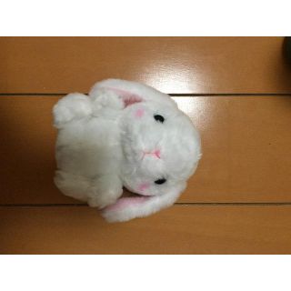 うさぎ(その他)