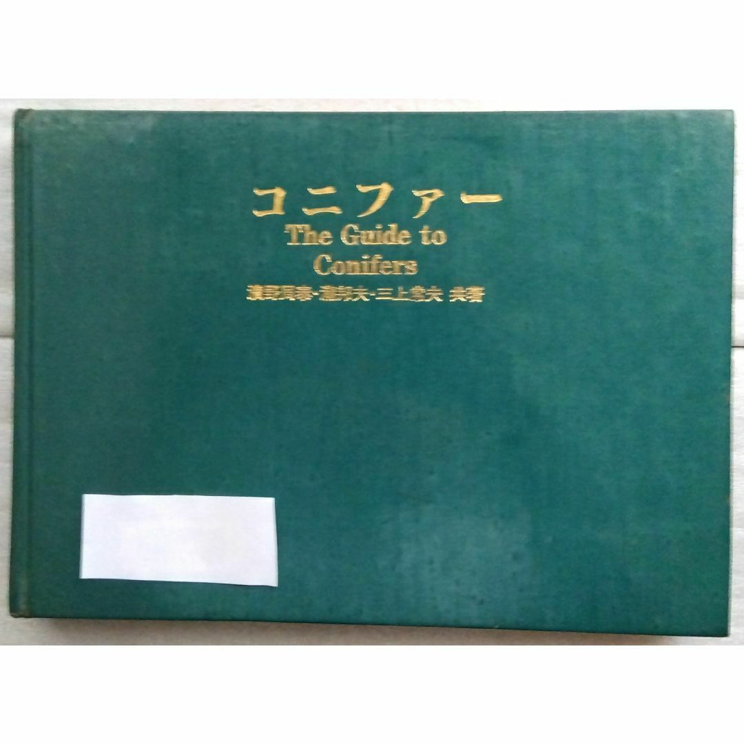 コニファー The Guide to Conifers 濱野周泰・瀧邦夫 他 エンタメ/ホビーの本(趣味/スポーツ/実用)の商品写真