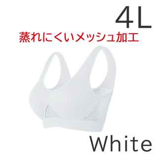 ヴィアージュ(VIAGE)の【新品未使用】リシェルNight U Bra ナイトブラ メッシュ 4Lサイズ白(ブラ)