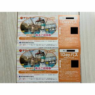 サマーランド　株主優待　東京都競馬　春秋限定(遊園地/テーマパーク)