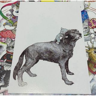 ヒグチユウコ(ヒグチユウコ)の4 【ヒグチユウコ展】ポストカード★にゃんこ★ 100 POSTCARDS(印刷物)