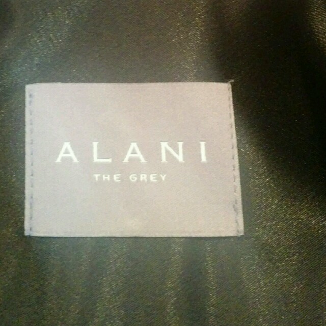 BARNEYS NEW YORK(バーニーズニューヨーク)のALANI THE GREY　ビッグコート レディースのジャケット/アウター(スプリングコート)の商品写真