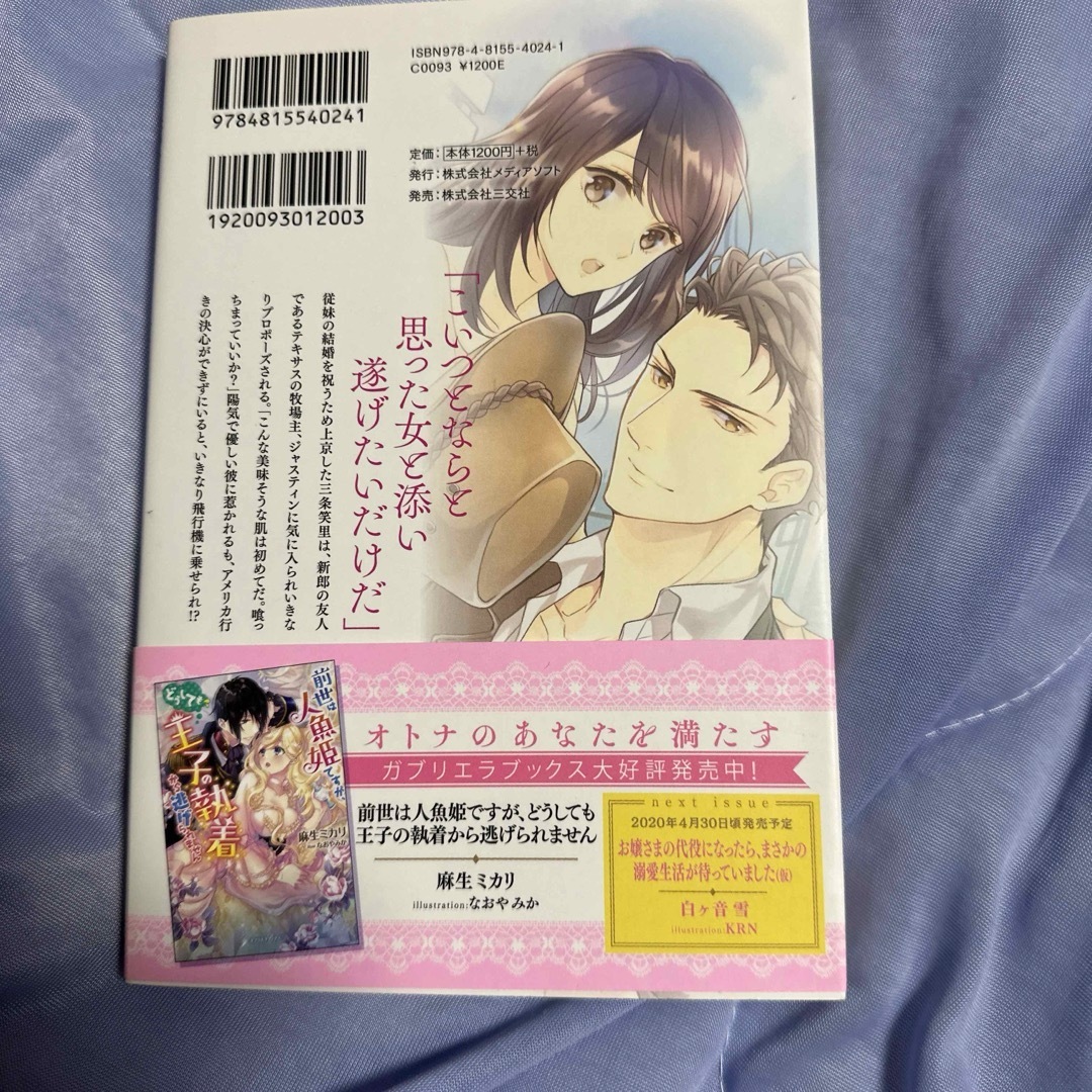 俺サマ石油王に愛されて困ってます! テキサス・ウェディング エンタメ/ホビーの本(文学/小説)の商品写真