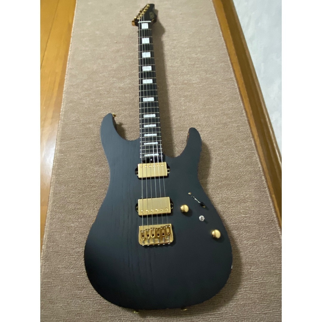 SCHECTER - 【値下げ】シェクター  エレキギター ストラトキャスター 2019年製