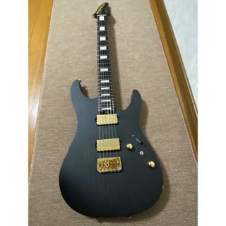 シェクター(SCHECTER)の【値下げ】シェクター  エレキギター ストラトキャスター 2019年製(エレキギター)