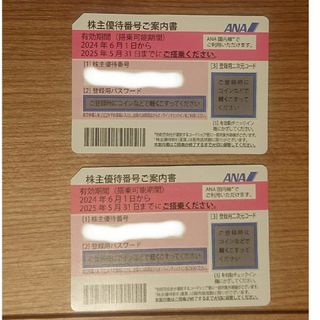 エーエヌエー(ゼンニッポンクウユ)(ANA(全日本空輸))のANA株主優待 2枚 （株主割引券）(その他)