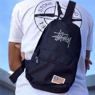ステューシー(STUSSY)のSTUSSY ステューシー ボディバッグ 宝島社 付録(ボディーバッグ)