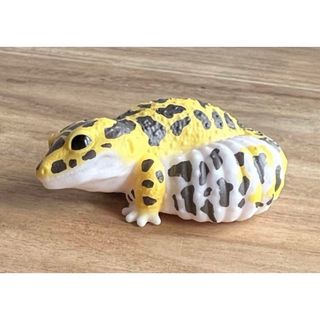 【新品】ヒョウモントカゲモドキの置物(置物)