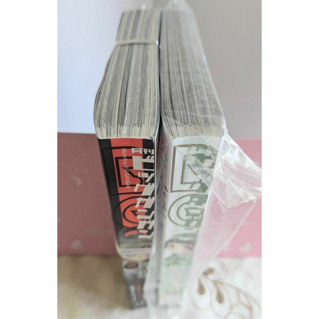 薬屋のひとりごと BG雑誌付録セット ねこクラゲ クリアファイル 薬屋のひとりごと BG雑誌付録セット ねこクラゲ クリアファイル