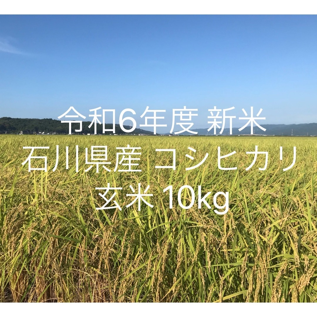 世界農業遺産認定 令和6年度 石川県産 能登米こしひかり 玄米 10kg 世界農業遺産認定 令和6年度 石川県産 能登米こしひかり 玄米 10kg