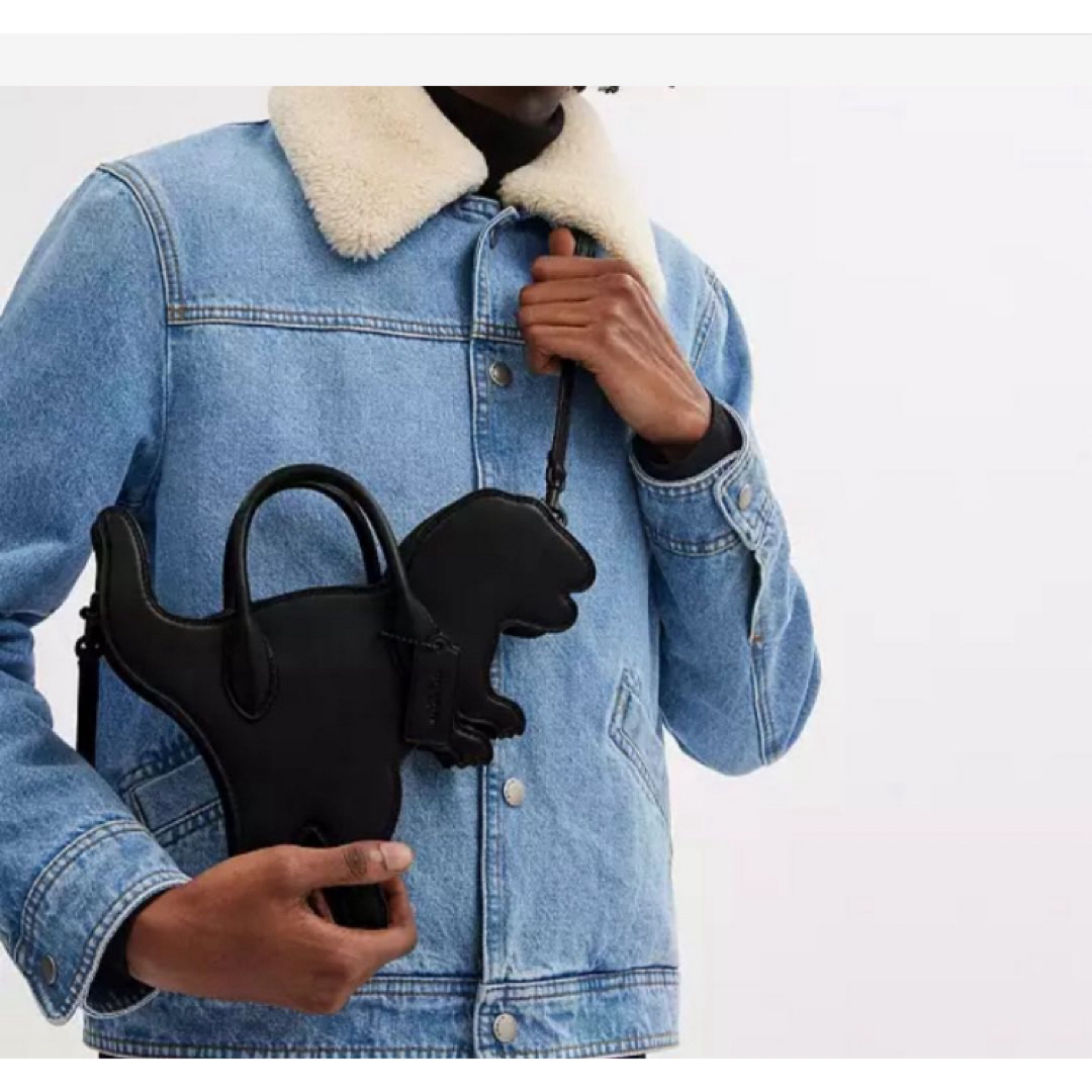 COACH - ⭐️激レア 完売品 新品 コーチ Coach レキシーバッグ COACH - ⭐️激レア 完売品 新品 コーチ Coach レキシーバッグ