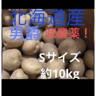 じゃがいも　北海道産　新じゃが  農家直送 男爵　採れたて(野菜)