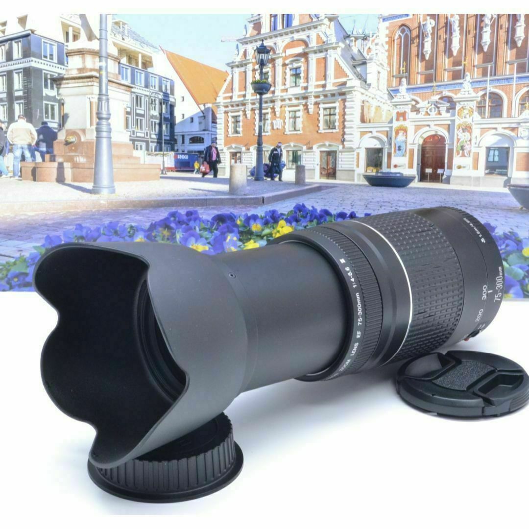 即決OK キヤノンCanonカメラをお持ちの方におすすめ!望遠レンズ 即決OK キヤノンCanonカメラをお持ちの方におすすめ!望遠レンズ