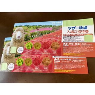 千葉県 マザー牧場 ♡ 入園券２枚 set！♡ ’25 /１.31 迄(動物園)
