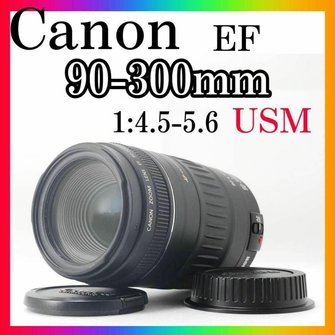 Canon - ⭐️超望遠⭐️ Canon EF 90-300mm F4.5-5.6 USM