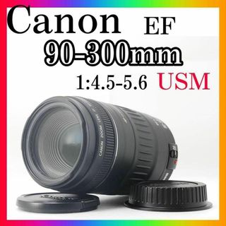 キヤノン(Canon)の⭐️超望遠⭐️ Canon EF 90-300mm F4.5-5.6 USM(レンズ(ズーム))