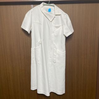 ナース服　ワンピース　L(その他)