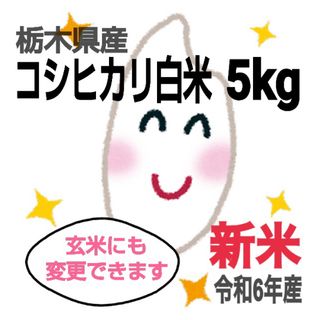 【令和6年 新米 栃木県産コシヒカリ 5kg☆白米】(米/穀物)