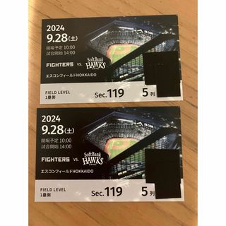 北海道日本ハムファイターズvs福岡ソフトバンクホークス　チケット　2枚　エスコン(野球)