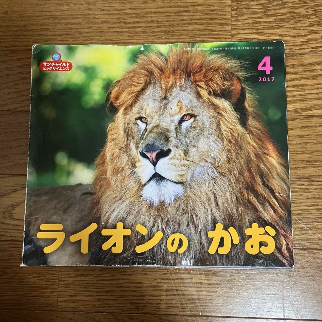 絵本 ライオンのかお エンタメ/ホビーの本(絵本/児童書)の商品写真