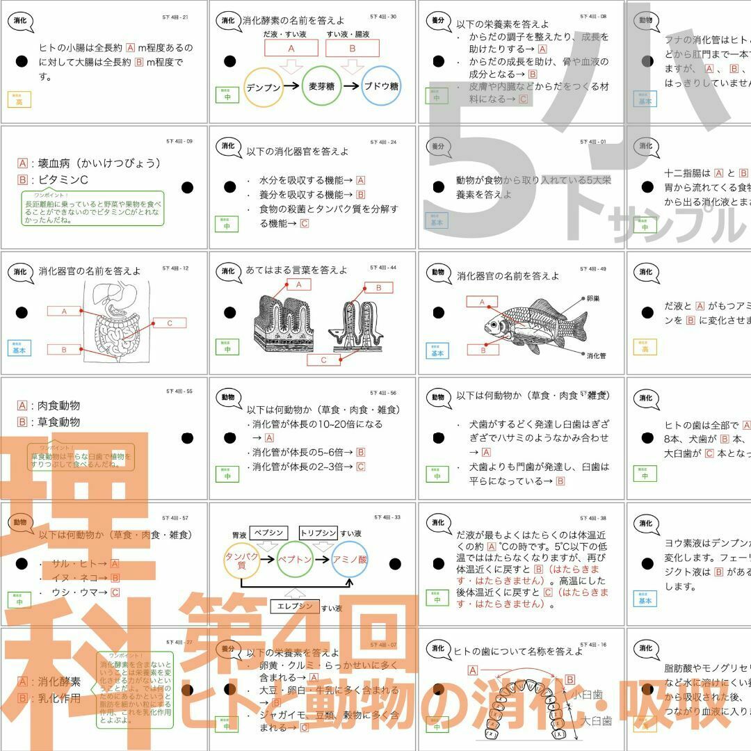 中学受験 暗記カード【5年上 社会・理科6-9回】 予習シリーズ