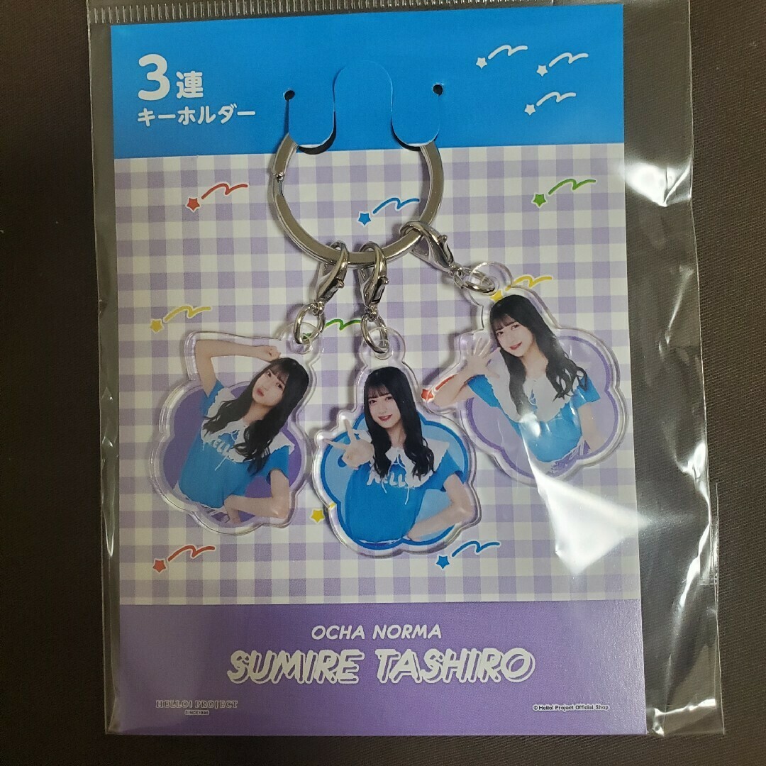 HELLO!PROJECT(ハロープロジェクト)のハロショ グッズ エンタメ/ホビーのタレントグッズ(アイドルグッズ)の商品写真