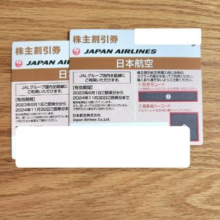日本航空(JAL) 株主優待券 2枚(その他)
