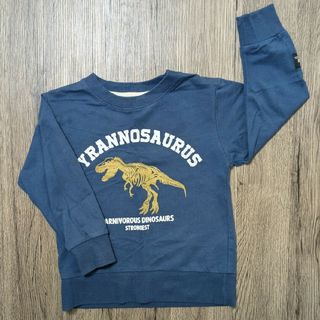 恐竜　ロングTシャツ　110(Tシャツ/カットソー)