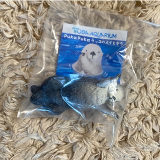 鳥羽水族館　ガチャ　ラッコ　(キャラクターグッズ)
