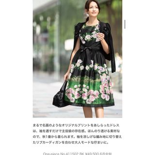 M'S GRACY - 今期 m's gracy カタログ掲載 水彩画ワンピースの M'S GRACY - 今期 m's gracy カタログ掲載 水彩画ワンピースの