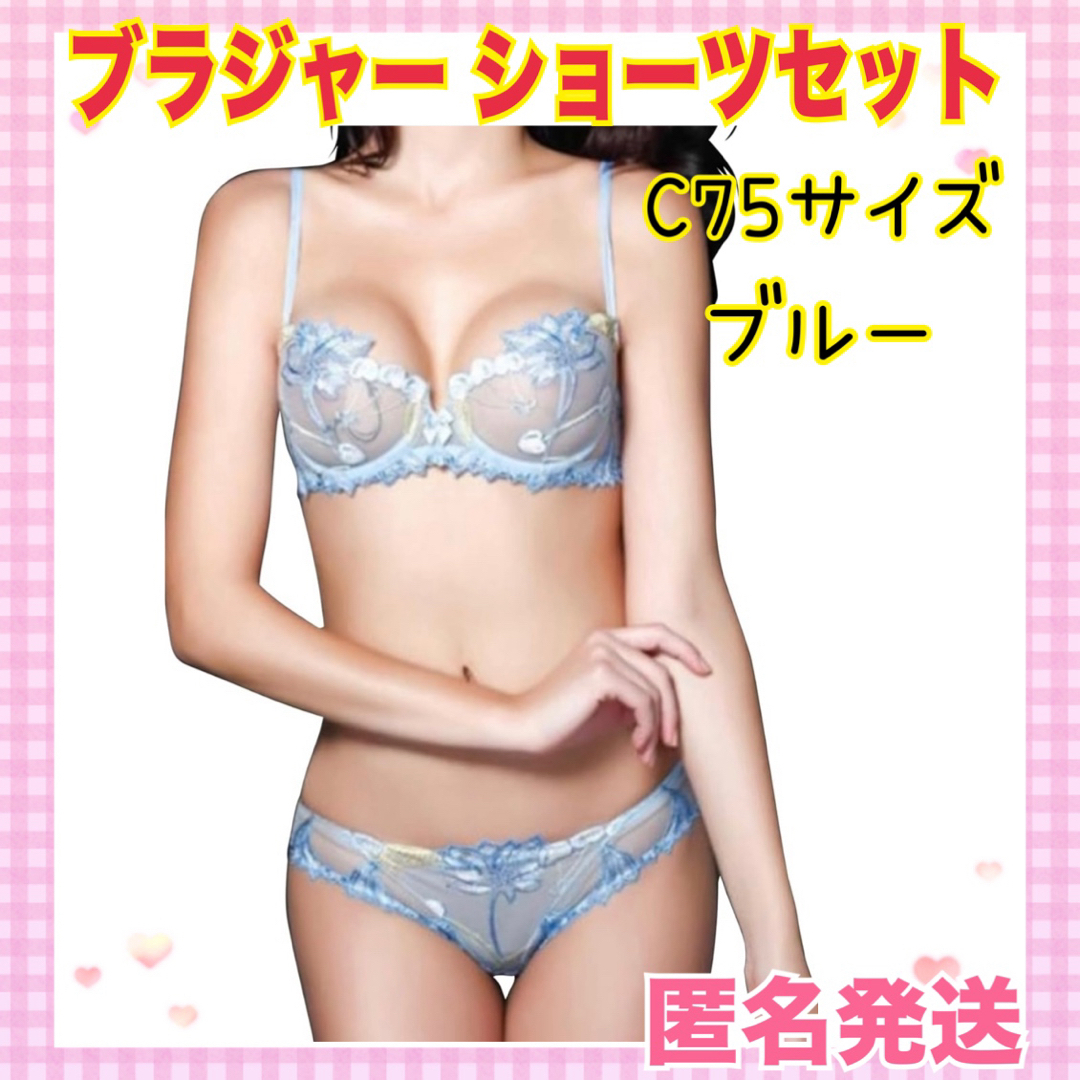 ✨大特価✨ブラジャー ショーツセット セクシー シースルー 花柄 ✨大特価✨ブラジャー ショーツセット セクシー シースルー 花柄