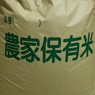 令和5年産　山口県産米　10キロ(米/穀物)