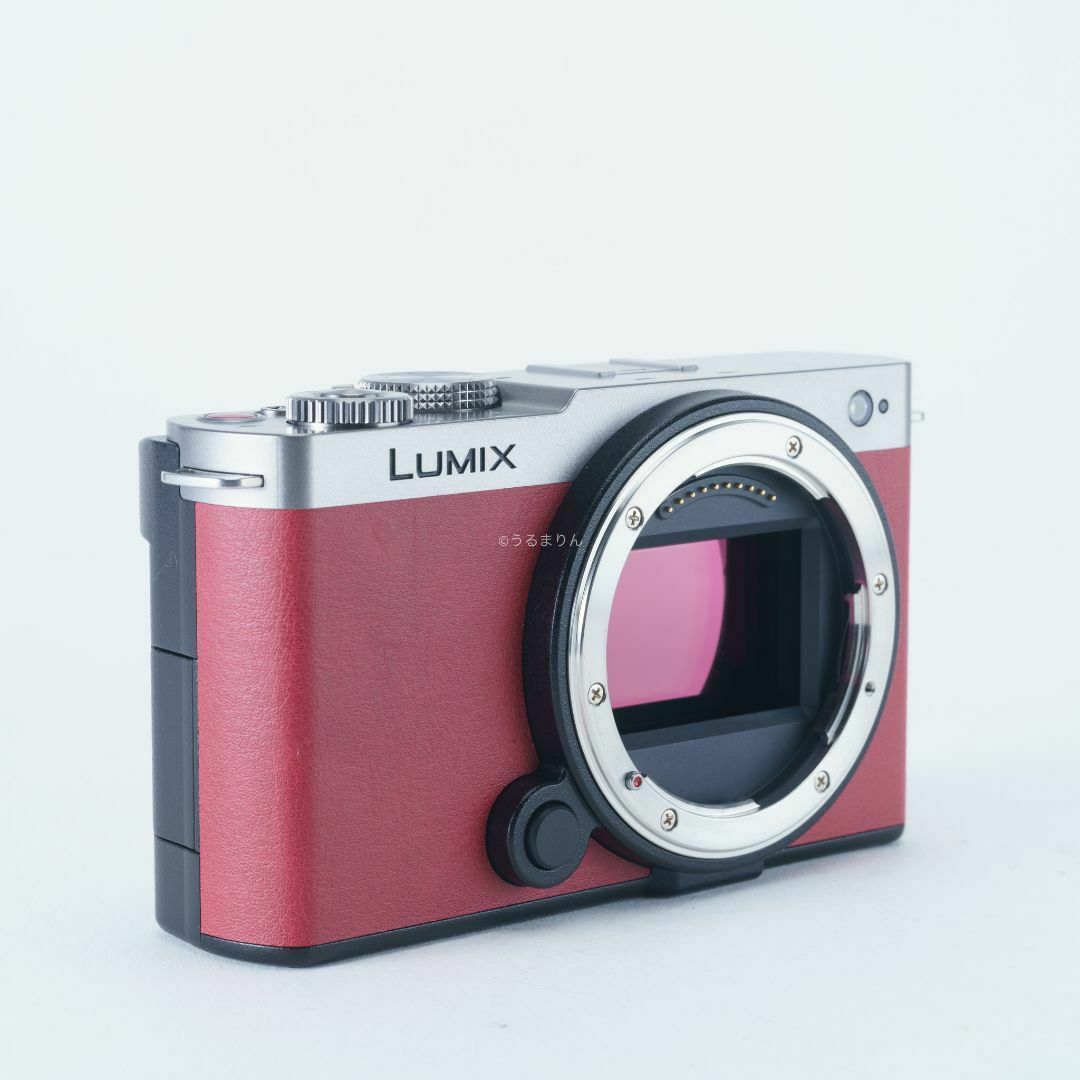 Panasonic - 付属多数!Panasonic LUMIX S9 ミラーレス一眼 Panasonic - 付属多数!Panasonic LUMIX S9 ミラーレス一眼