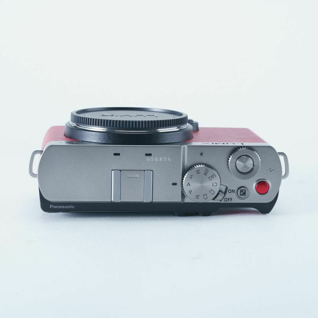 Panasonic - 付属多数!Panasonic LUMIX S9 ミラーレス一眼 Panasonic - 付属多数!Panasonic LUMIX S9 ミラーレス一眼