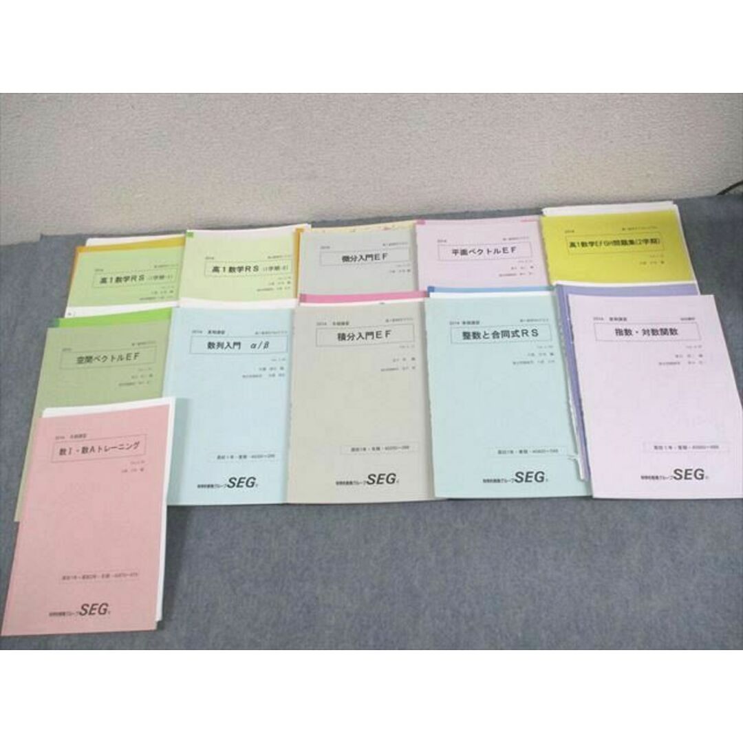 SEG (科学的教育グループ) 高1数学RSクラス 微分入門/平面/空間 SEG (科学的教育グループ) 高1数学RSクラス 微分入門/平面/空間